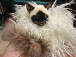 They gave me a white wig and I sewed on the cat head and a feather boa as the tail.